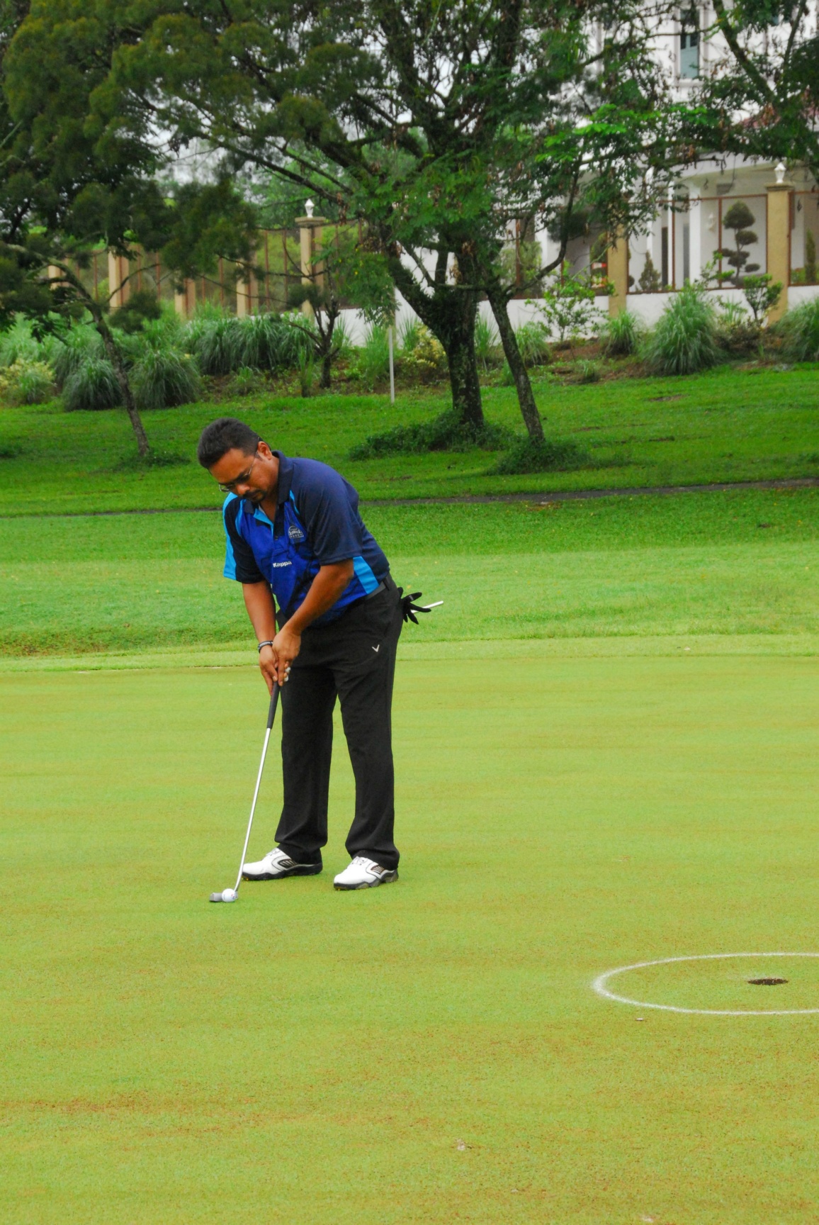 PRO15 157 GOLF DSC 0157.JPG